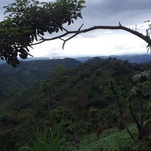 Meet your Posher, Jose